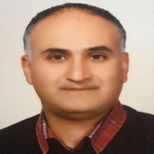 Batch and Furnace Engineer