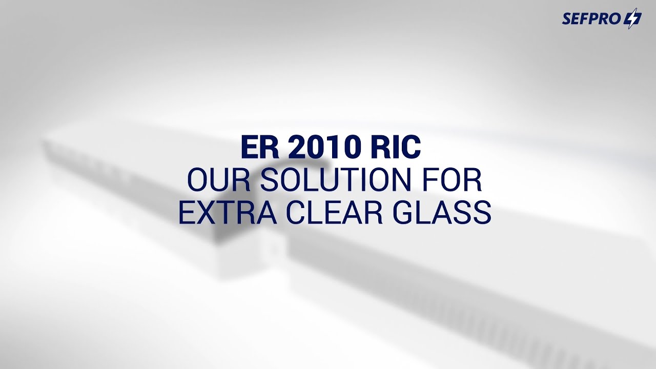 ER 2010 RIC - SEFPRO - 863395